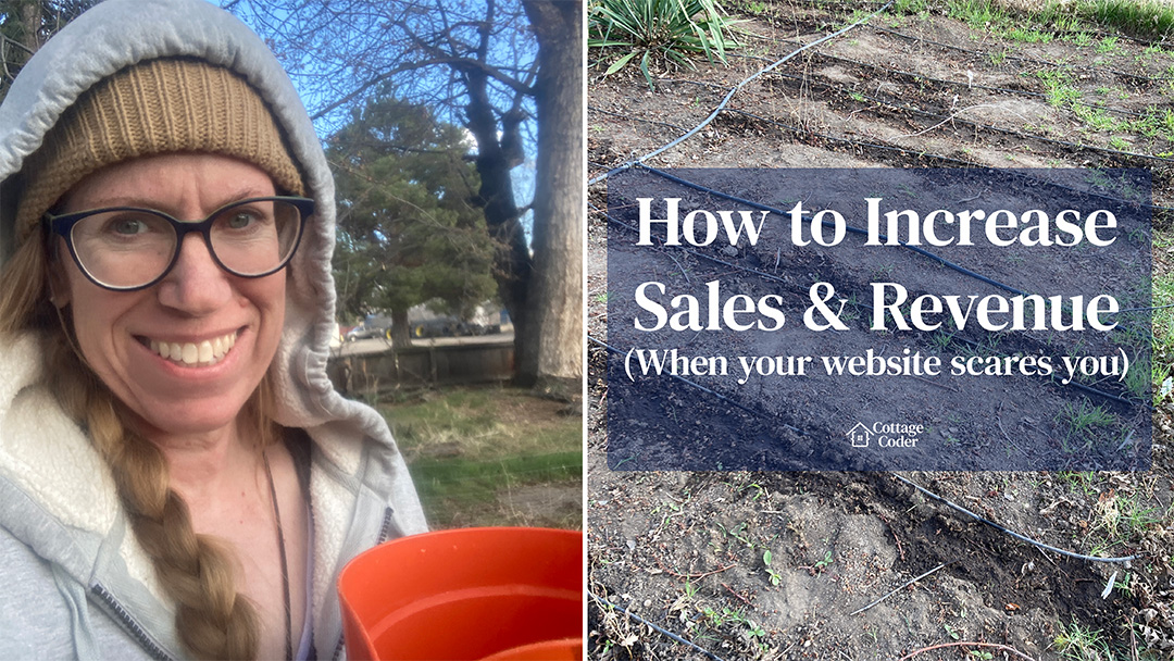 How to Naturally Increase Sales and Revenue When Your Website Scares You